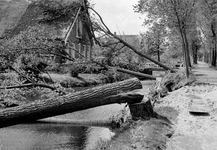 127273 Afbeelding van tijdens een storm omgewaaide bomen langs de Hoenkoopse Buurtweg te Hoenkoop, met links de ...